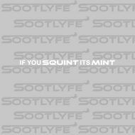 SQUINT ITS MINT - DECAL $1=1 ENTRY